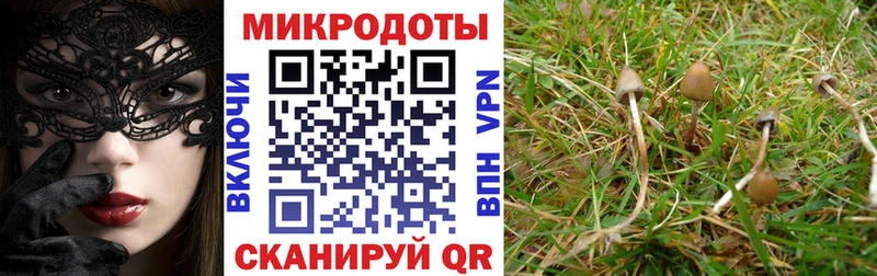 Галлюциногенные грибы прущие грибы  Злынка 